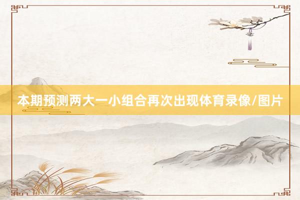 本期预测两大一小组合再次出现体育录像/图片