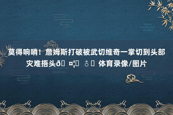 莫得响哨！詹姆斯打破被武切维奇一掌切到头部灾难捂头🤦‍♂️体育录像/图片