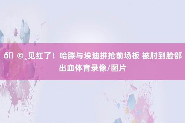 🩸见红了！哈滕与埃迪拼抢前场板 被肘到脸部出血体育录像/图片