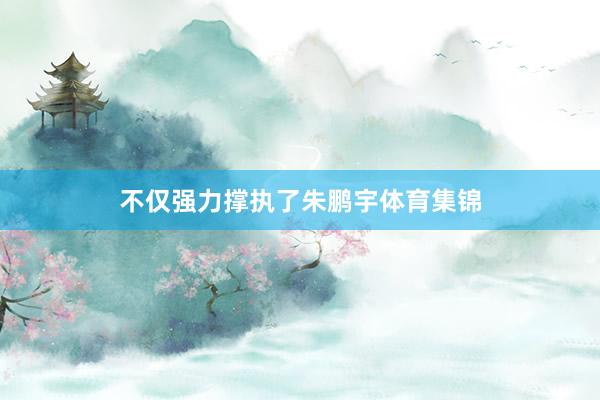 不仅强力撑执了朱鹏宇体育集锦