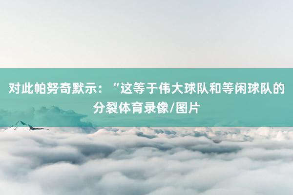对此帕努奇默示：“这等于伟大球队和等闲球队的分裂体育录像/图片