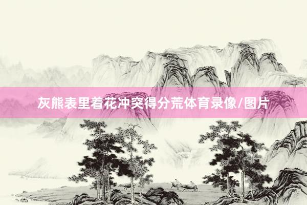 灰熊表里着花冲突得分荒体育录像/图片