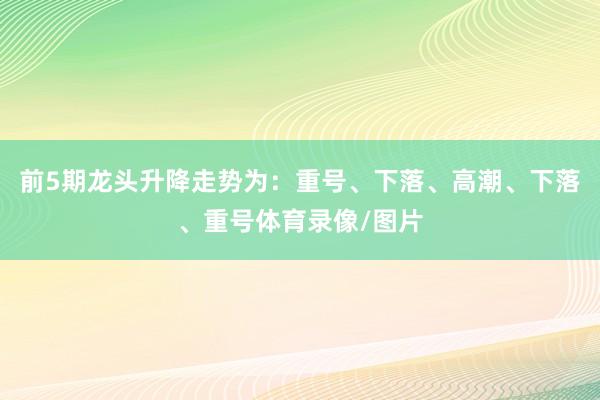 前5期龙头升降走势为：重号、下落、高潮、下落、重号体育录像/图片
