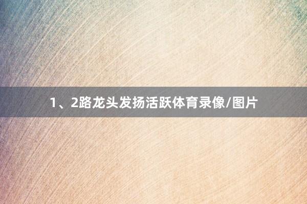 1、2路龙头发扬活跃体育录像/图片