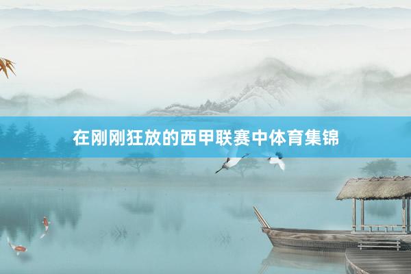 在刚刚狂放的西甲联赛中体育集锦