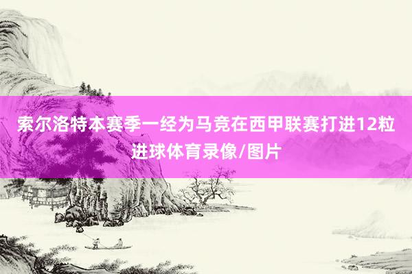 索尔洛特本赛季一经为马竞在西甲联赛打进12粒进球体育录像/图片