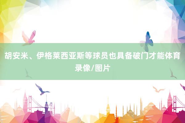 胡安米、伊格莱西亚斯等球员也具备破门才能体育录像/图片