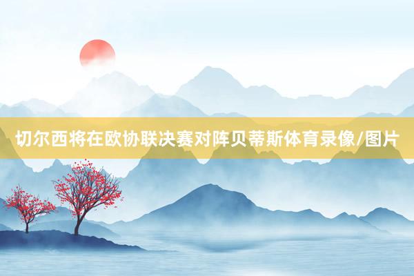 切尔西将在欧协联决赛对阵贝蒂斯体育录像/图片
