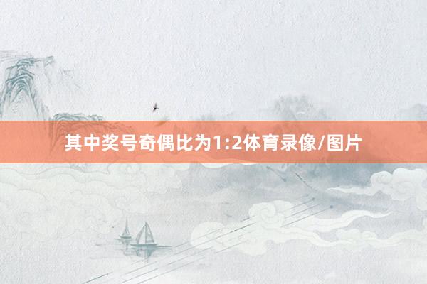 其中奖号奇偶比为1:2体育录像/图片