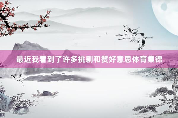 最近我看到了许多挑剔和赞好意思体育集锦