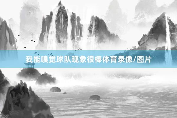 我能嗅觉球队现象很棒体育录像/图片