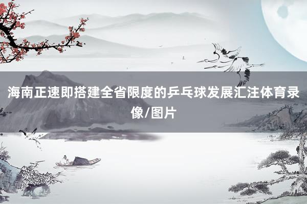 海南正速即搭建全省限度的乒乓球发展汇注体育录像/图片