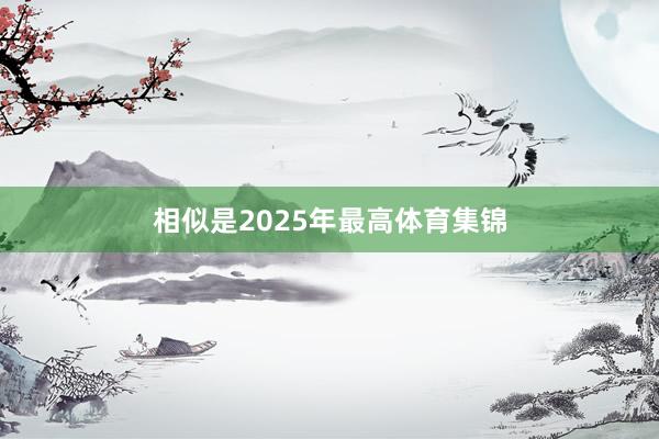 相似是2025年最高体育集锦