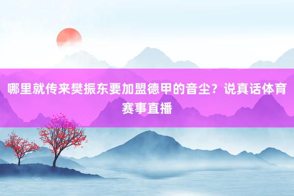 哪里就传来樊振东要加盟德甲的音尘？说真话体育赛事直播