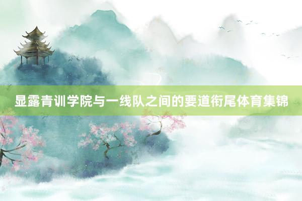 显露青训学院与一线队之间的要道衔尾体育集锦