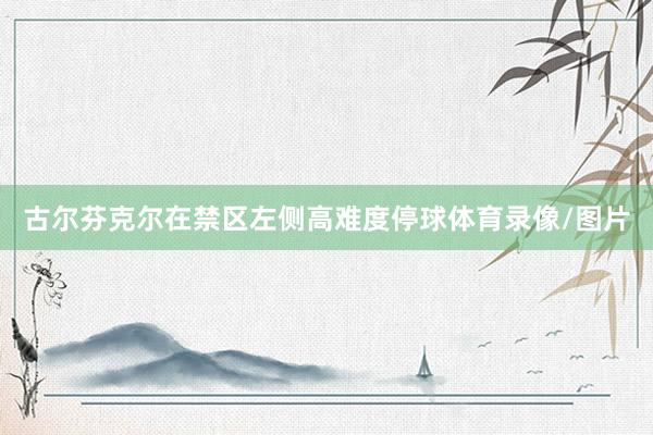 古尔芬克尔在禁区左侧高难度停球体育录像/图片