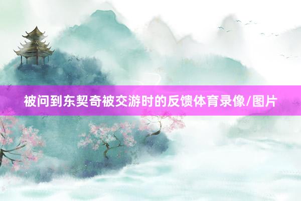 被问到东契奇被交游时的反馈体育录像/图片