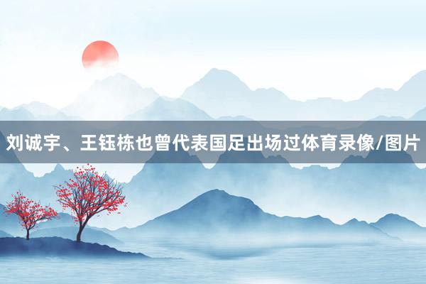 刘诚宇、王钰栋也曾代表国足出场过体育录像/图片
