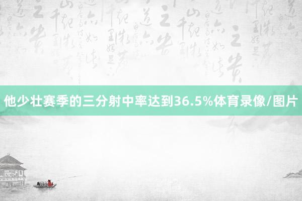 他少壮赛季的三分射中率达到36.5%体育录像/图片