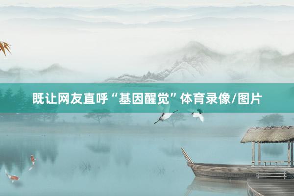 既让网友直呼“基因醒觉”体育录像/图片