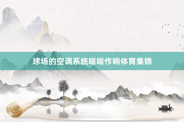 球场的空调系统嗡嗡作响体育集锦