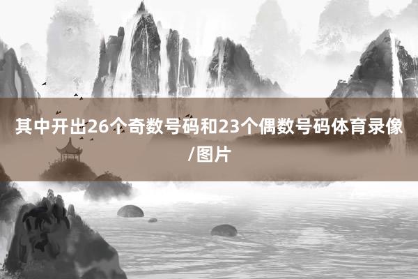其中开出26个奇数号码和23个偶数号码体育录像/图片