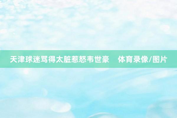 天津球迷骂得太脏惹怒韦世豪    体育录像/图片