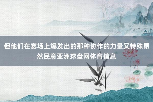 但他们在赛场上爆发出的那种协作的力量又特殊昂然民意亚洲球盘网体育信息
