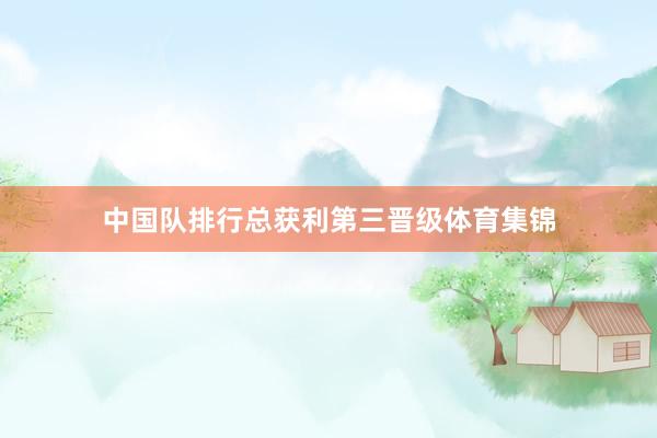 中国队排行总获利第三晋级体育集锦