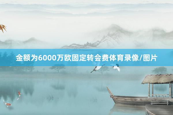 金额为6000万欧固定转会费体育录像/图片