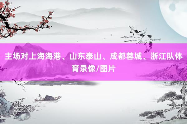 主场对上海海港、山东泰山、成都蓉城、浙江队体育录像/图片