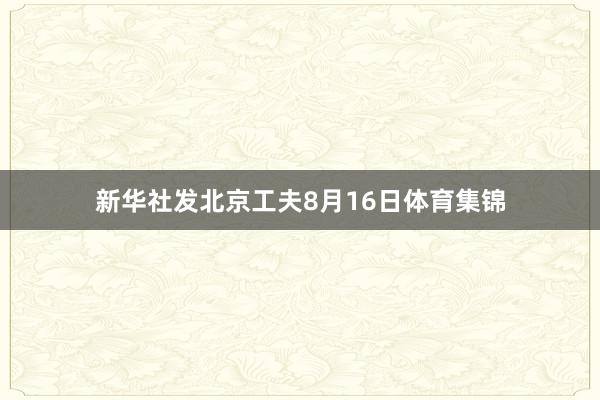 新华社发北京工夫8月16日体育集锦