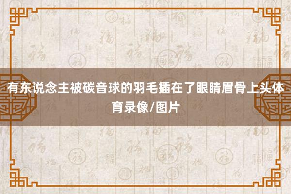 有东说念主被碳音球的羽毛插在了眼睛眉骨上头体育录像/图片