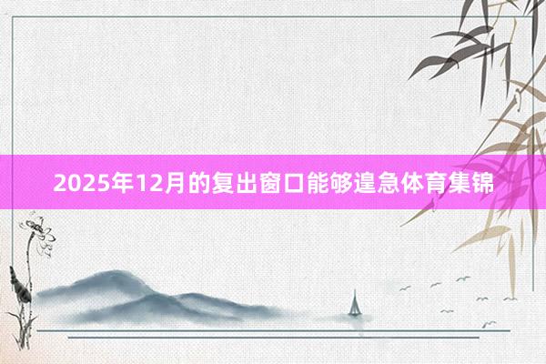 2025年12月的复出窗口能够遑急体育集锦