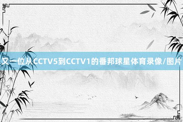 又一位从CCTV5到CCTV1的番邦球星体育录像/图片