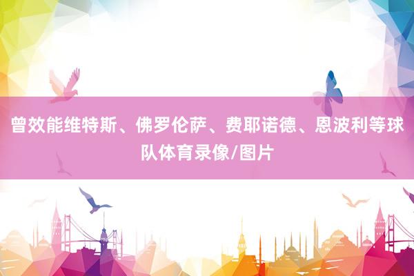 曾效能维特斯、佛罗伦萨、费耶诺德、恩波利等球队体育录像/图片