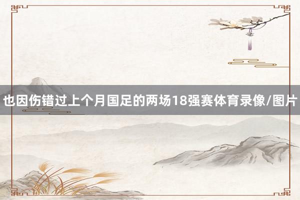 也因伤错过上个月国足的两场18强赛体育录像/图片