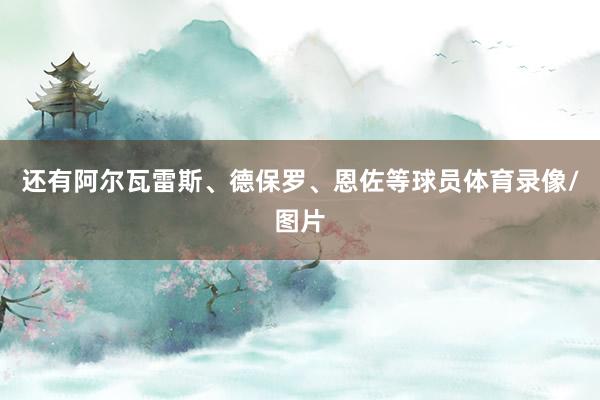 还有阿尔瓦雷斯、德保罗、恩佐等球员体育录像/图片