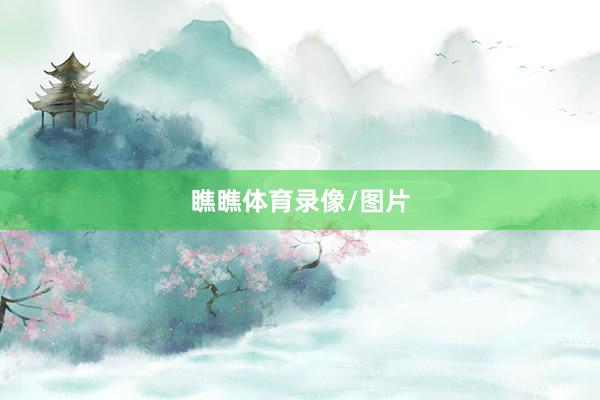 瞧瞧体育录像/图片