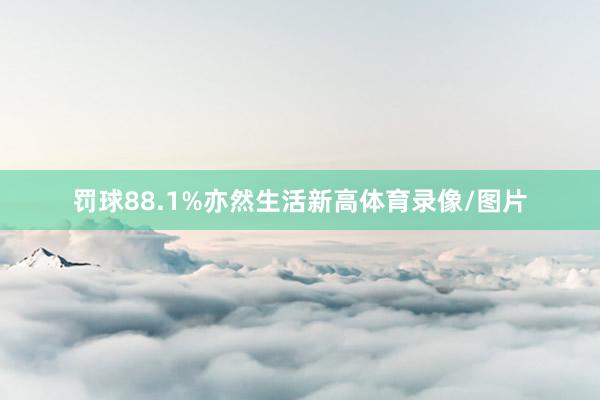 罚球88.1%亦然生活新高体育录像/图片