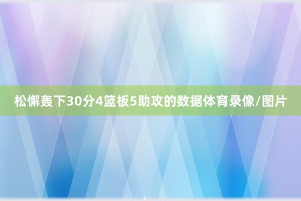 松懈轰下30分4篮板5助攻的数据体育录像/图片