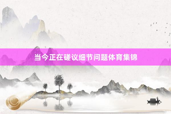 当今正在磋议细节问题体育集锦