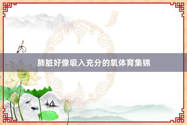 肺脏好像吸入充分的氧体育集锦