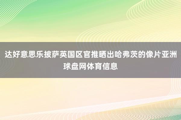达好意思乐披萨英国区官推晒出哈弗茨的像片亚洲球盘网体育信息