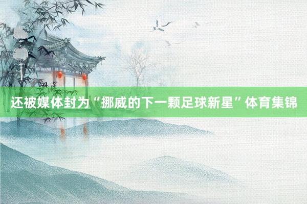 还被媒体封为“挪威的下一颗足球新星”体育集锦