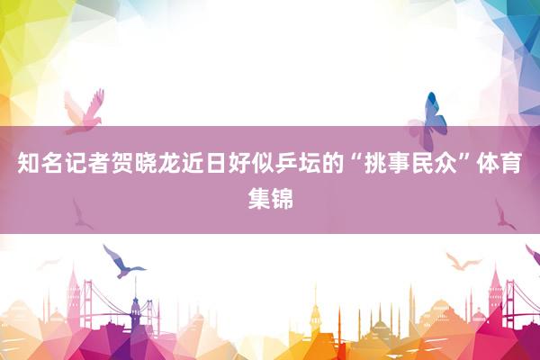 知名记者贺晓龙近日好似乒坛的“挑事民众”体育集锦