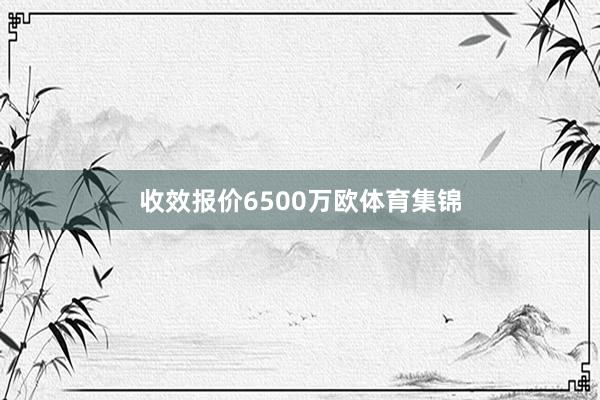 收效报价6500万欧体育集锦