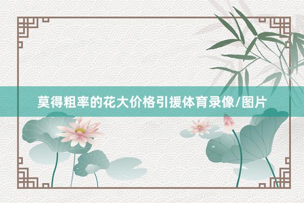 莫得粗率的花大价格引援体育录像/图片