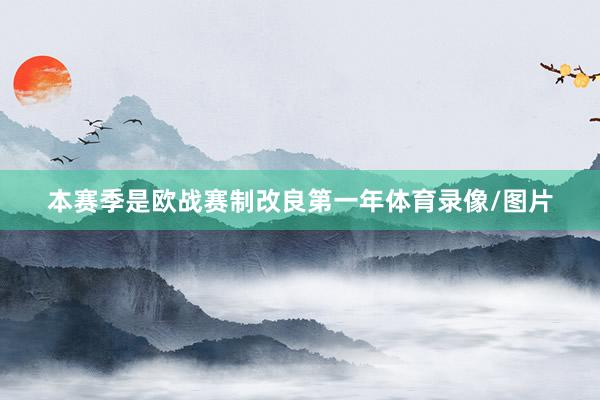 本赛季是欧战赛制改良第一年体育录像/图片