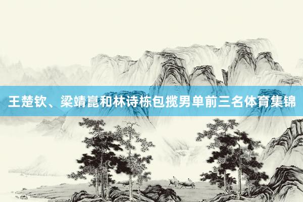 王楚钦、梁靖崑和林诗栋包揽男单前三名体育集锦